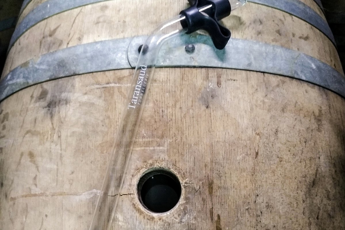 Pipette à vin au chai